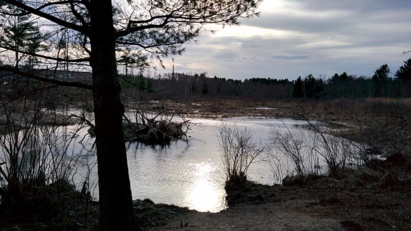 Brimfield Trail - Brimfield, MA