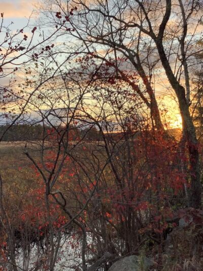 Brimfield Trail - Brimfield, MA