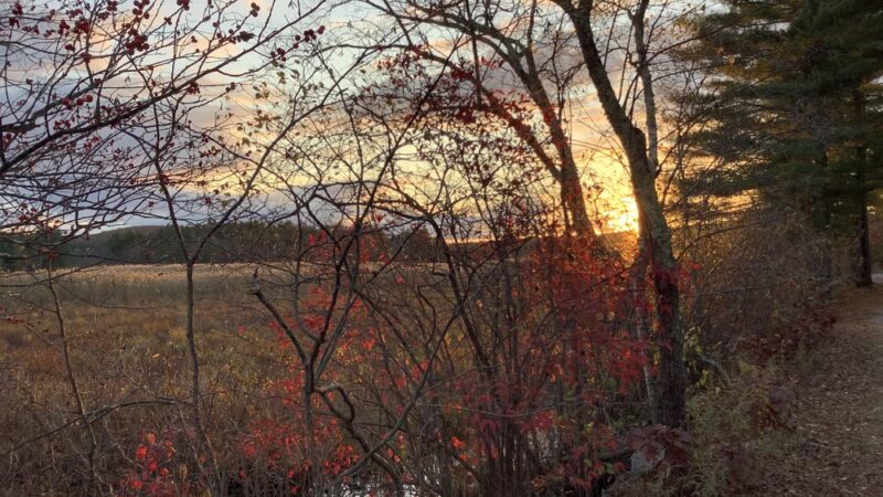 Brimfield Trail - Brimfield, MA