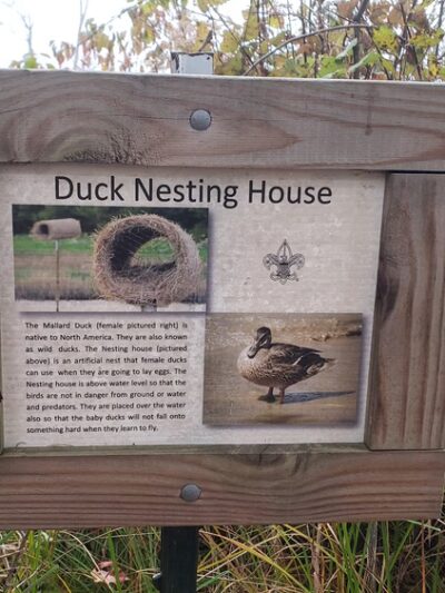 Brimfield Trail - Brimfield, MA