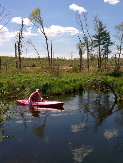 Brimfield Trail - Brimfield, MA