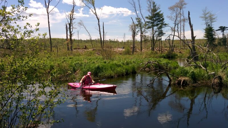 Brimfield Trail - Brimfield, MA