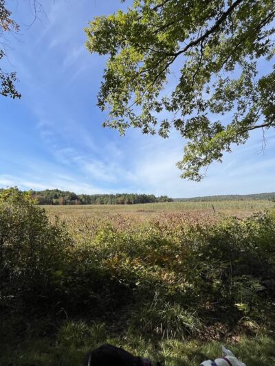Grand Trunk Trail - Brimfield, MA