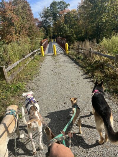 Grand Trunk Trail - Brimfield, MA