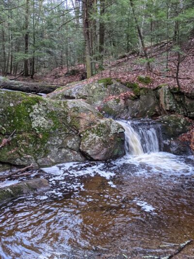 Opacum Land Trust: Dingley Dell Conservation Area - Brimfield, MA