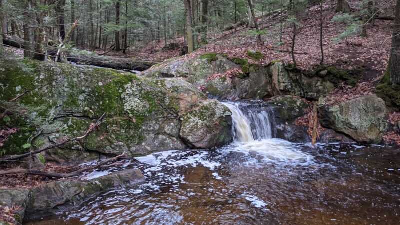 Opacum Land Trust: Dingley Dell Conservation Area - Brimfield, MA