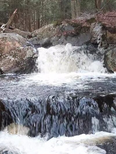 Opacum Land Trust: Dingley Dell Conservation Area - Brimfield, MA