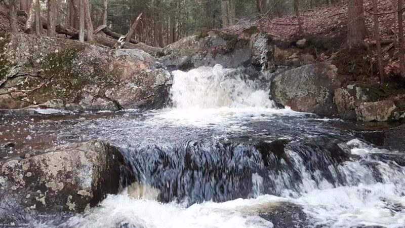 Opacum Land Trust: Dingley Dell Conservation Area - Brimfield, MA