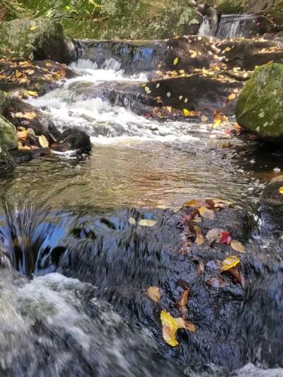 Opacum Land Trust: Dingley Dell Conservation Area - Brimfield, MA