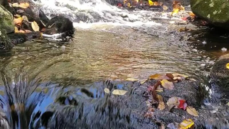 Opacum Land Trust: Dingley Dell Conservation Area - Brimfield, MA