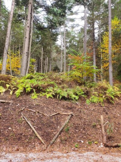 Opacum Land Trust: Dingley Dell Conservation Area - Brimfield, MA