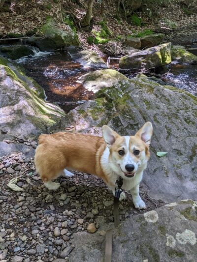 Waterfall - Brimfield, MA