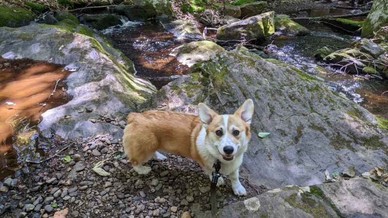 Waterfall - Brimfield, MA