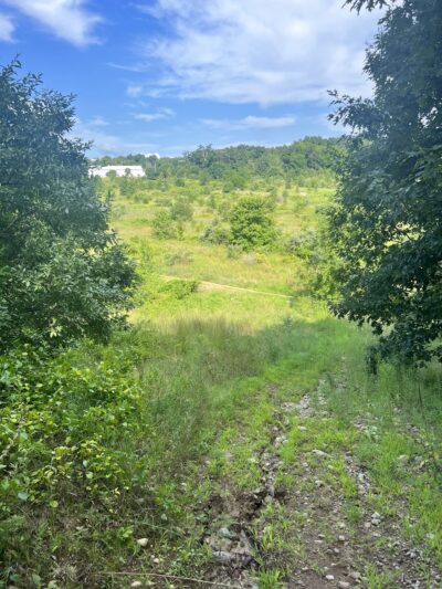 Birge Pond Hoppers area trail head - Bristol, CT