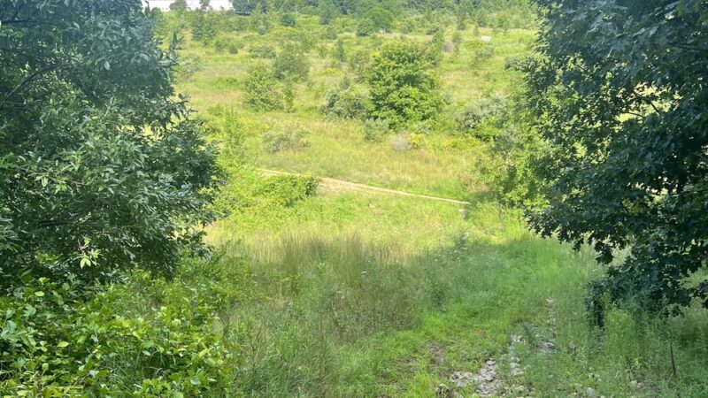 Birge Pond Hoppers area trail head - Bristol, CT