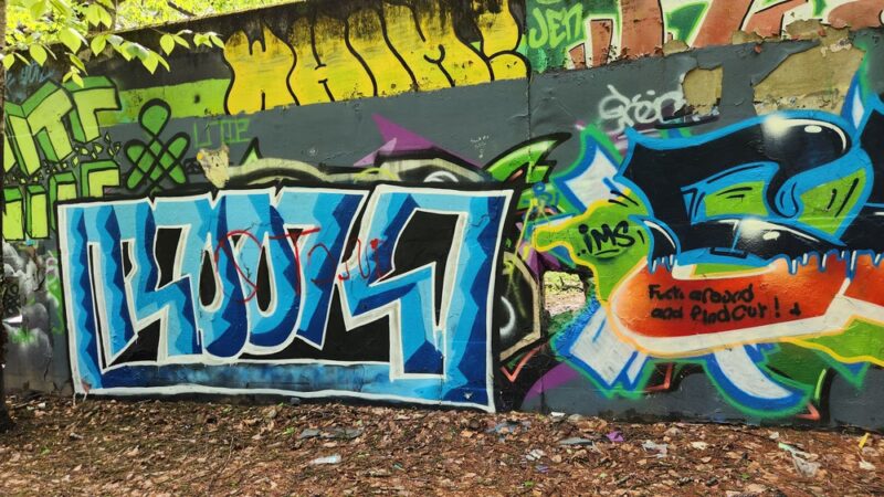 Birge Pond Hoppers area trail head - Bristol, CT