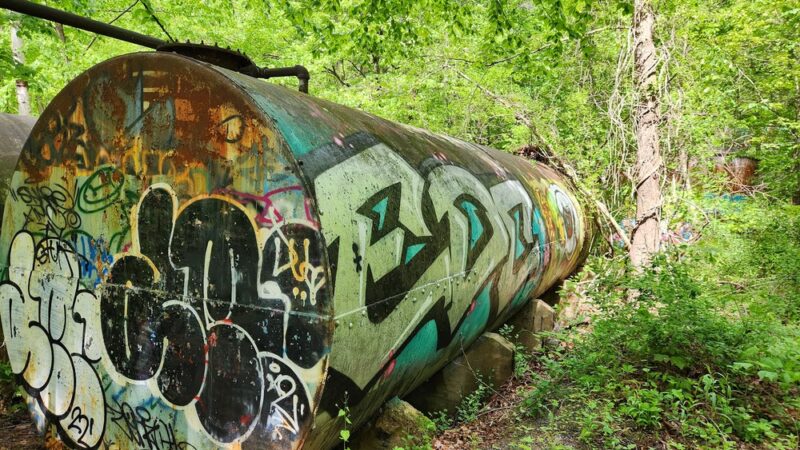 Birge Pond Hoppers area trail head - Bristol, CT