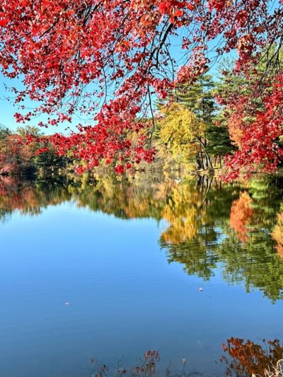 Pine Lake Park - Bristol, CT