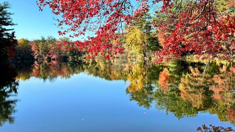 Pine Lake Park - Bristol, CT
