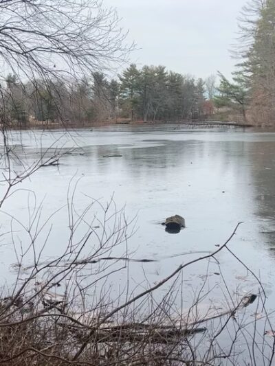 Pine Lake Park - Bristol, CT