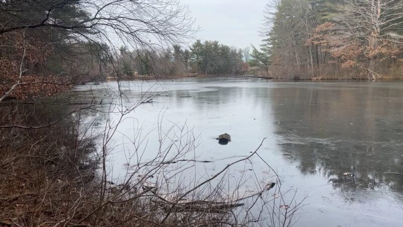 Pine Lake Park - Bristol, CT
