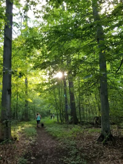 Pine Lake Park - Bristol, CT