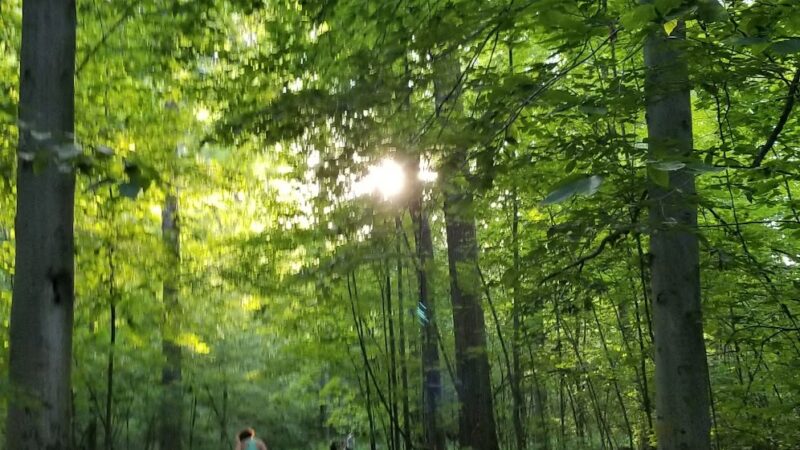 Pine Lake Park - Bristol, CT