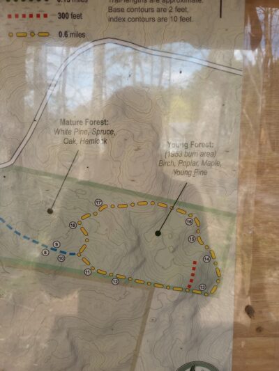 Bearce-Allen Preserve - Bristol, ME