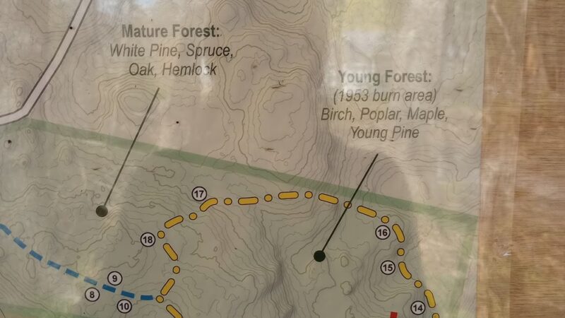 Bearce-Allen Preserve - Bristol, ME