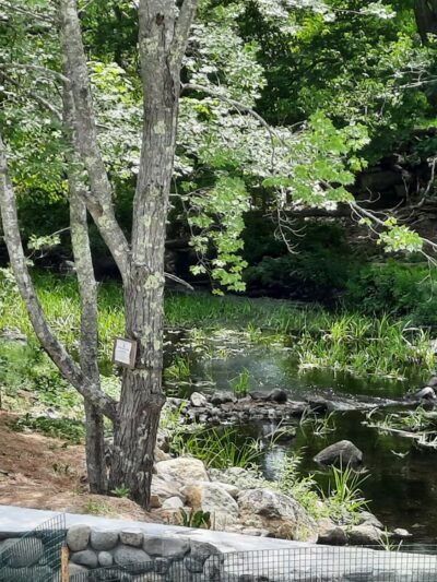 Bristol Swimming Hole - Bristol, ME