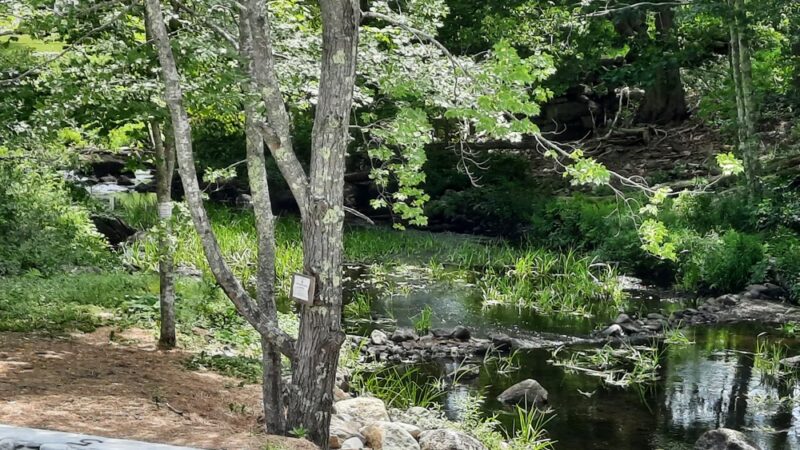 Bristol Swimming Hole - Bristol, ME