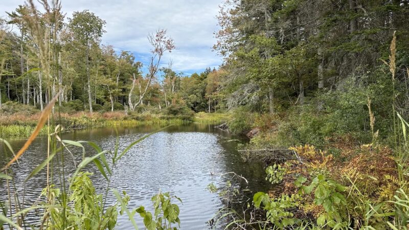 Crooked Farm Preserve - Bristol, ME