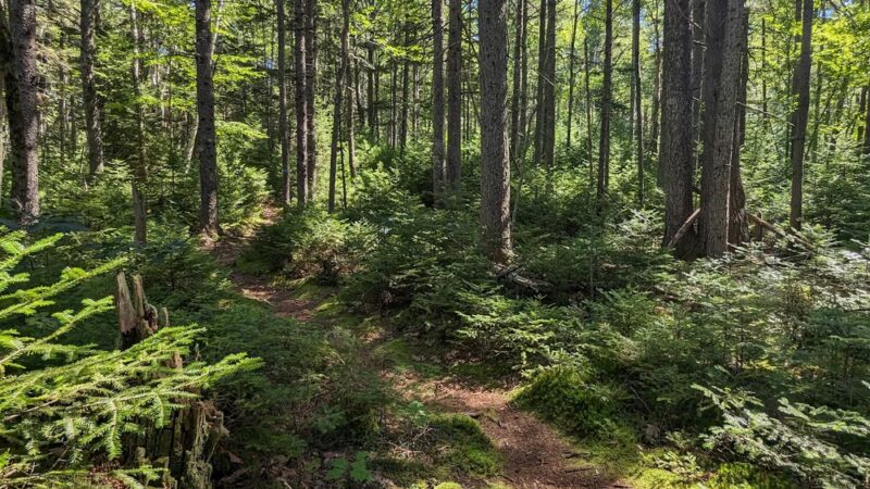 Crooked Farm Preserve - Bristol, ME