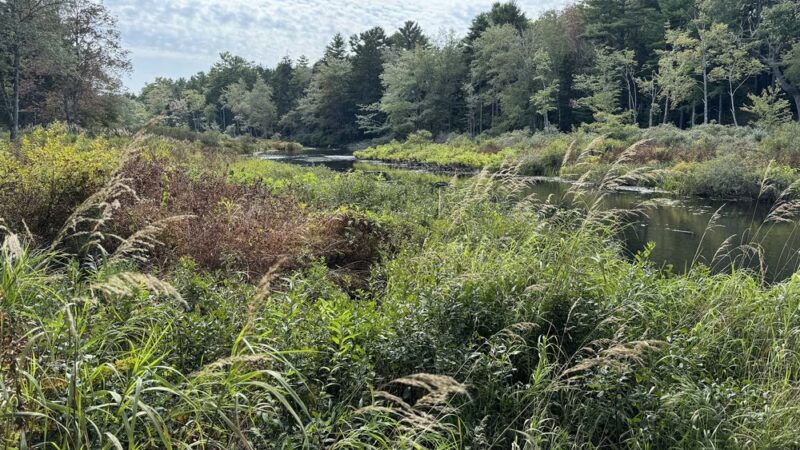 Crooked Farm Preserve - Bristol, ME