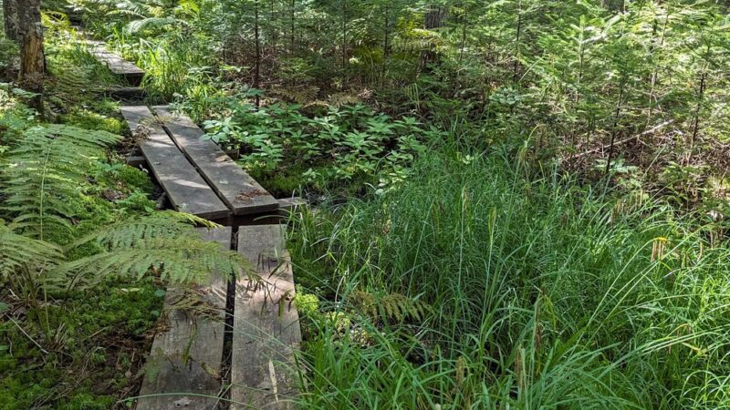 Crooked Farm Preserve - Bristol, ME