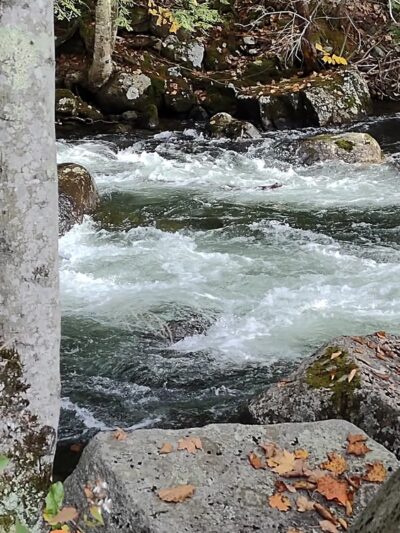Bristol - Bristol, NH