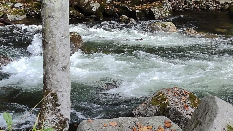 Bristol - Bristol, NH