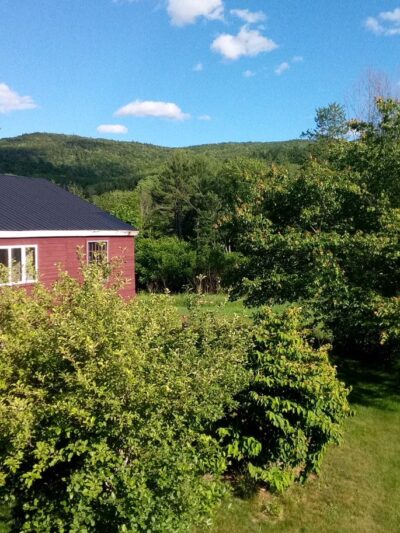 Bristol - Bristol, NH