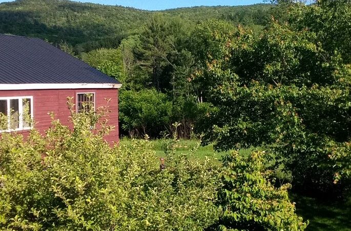 Bristol - Bristol, NH