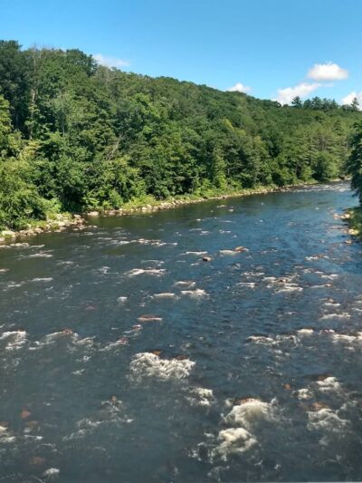 Bristol - Bristol, NH