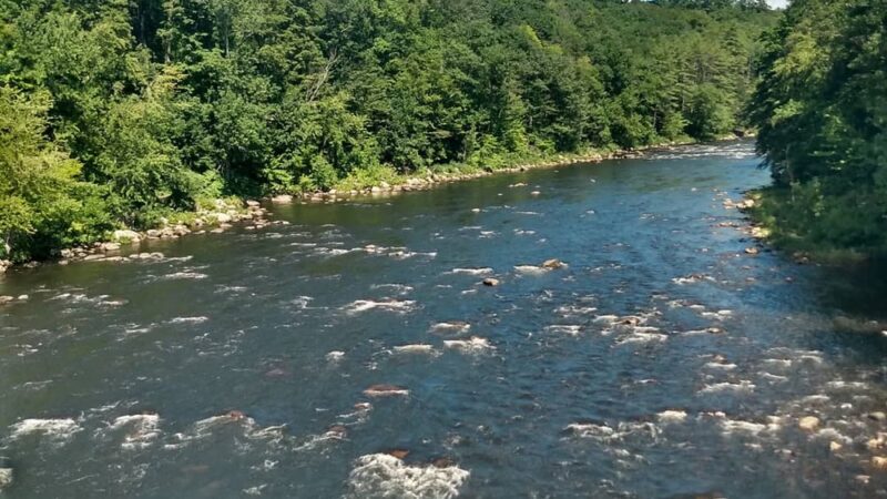 Bristol - Bristol, NH