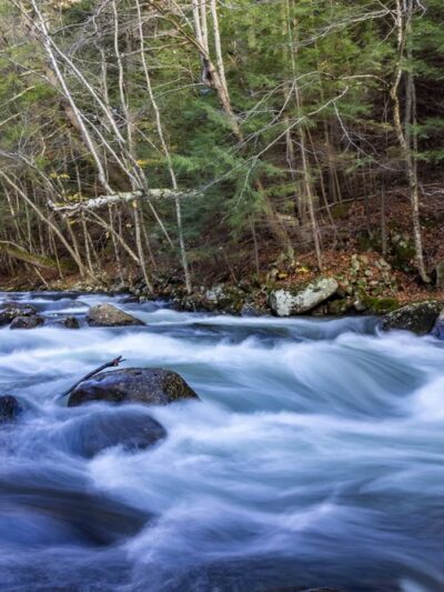 Mill Stream Park - Newfound Lake Watershed - Bristol, NH