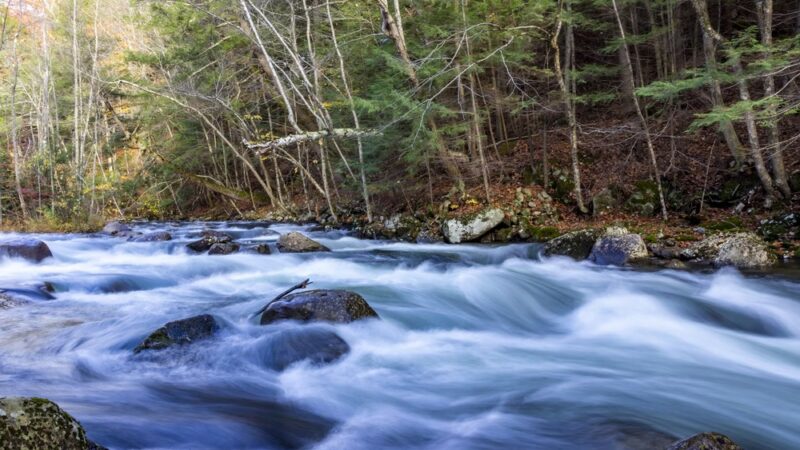 Mill Stream Park - Newfound Lake Watershed - Bristol, NH