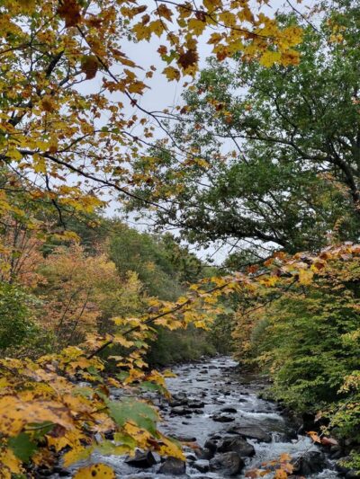 Mill Stream Park - Newfound Lake Watershed - Bristol, NH