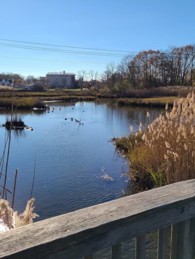 Veterans Park - Bristol, RI