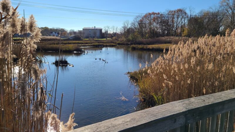 Veterans Park - Bristol, RI