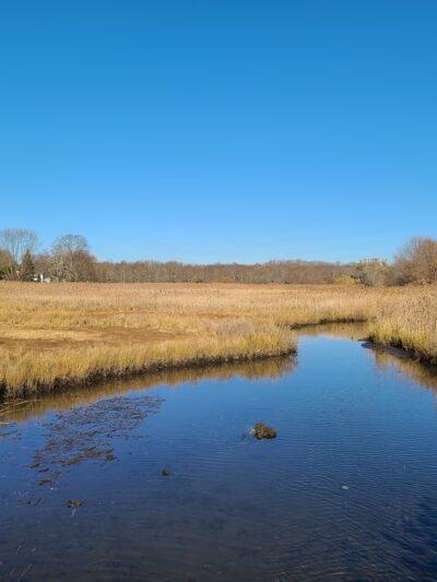 Veterans Park - Bristol, RI