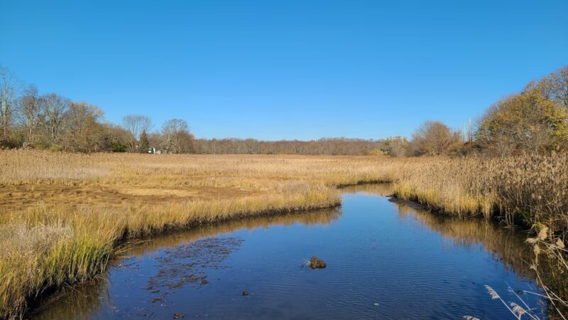 Veterans Park - Bristol, RI