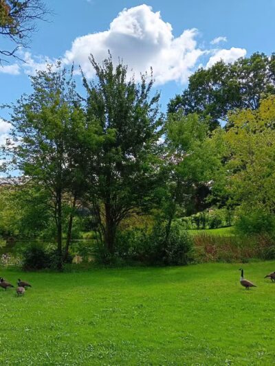 Salisbury Park - Brockton, MA