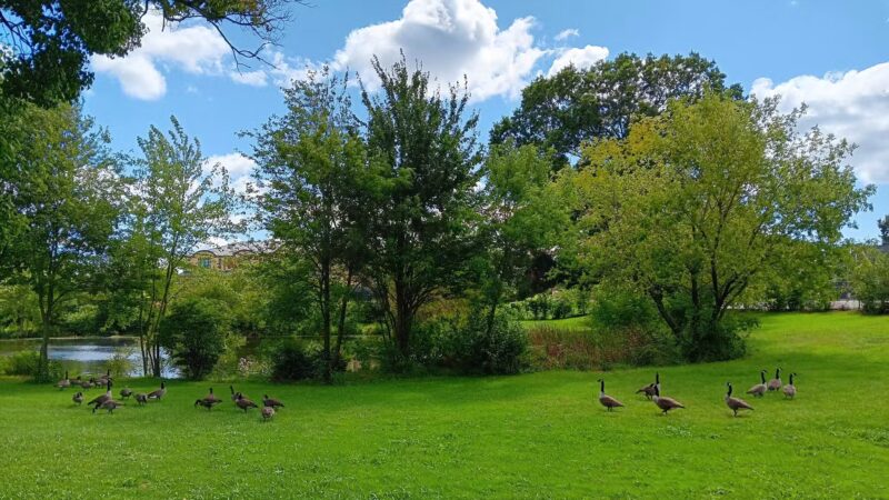 Salisbury Park - Brockton, MA